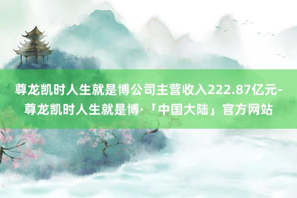 尊龙凯时人生就是博公司主营收入222.87亿元-尊龙凯时人生就是博·「中国大陆」官方网站