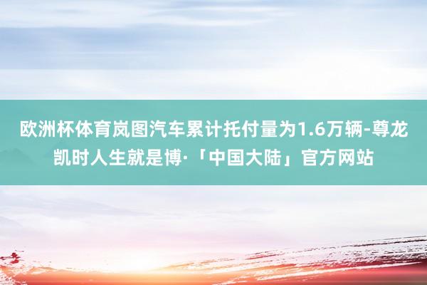 欧洲杯体育岚图汽车累计托付量为1.6万辆-尊龙凯时人生就是博·「中国大陆」官方网站